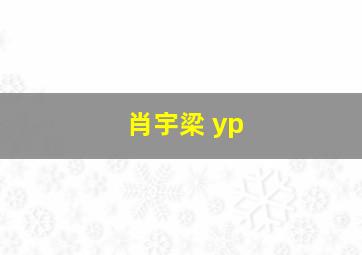 肖宇梁 yp